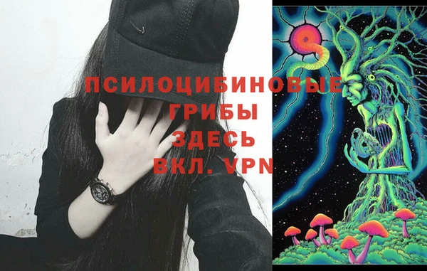 герыч Володарск