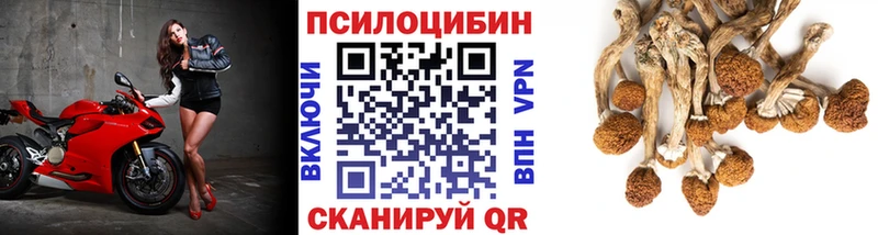 Купить  Арамиль  Псилоцибиновые грибы мухоморы 