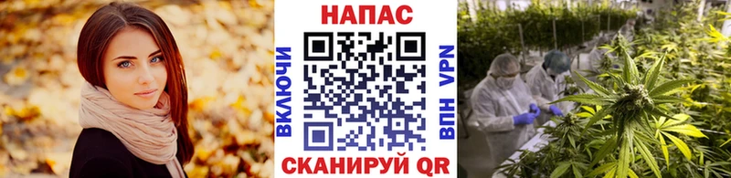 Канабис марихуана Купить где Арамиль